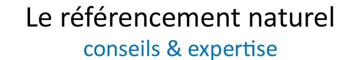 Le référencement naturel - Conseils & Expertise